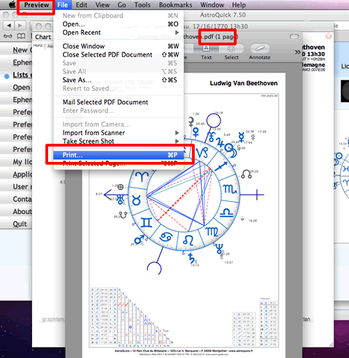 print hight resolution PDF chart report