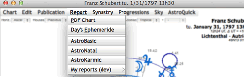 astrology report menu application AstroQuick