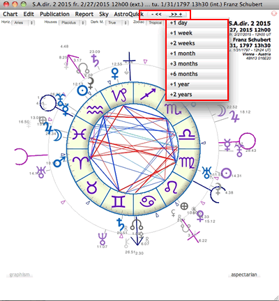 Bi Wheel Chart